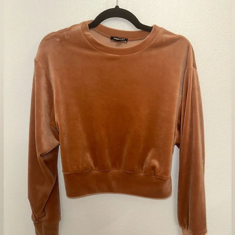 Express Champagne Colored Top